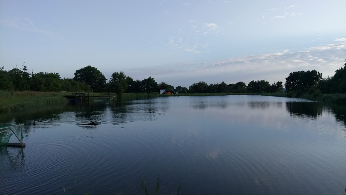 gp_699aa73877d38
