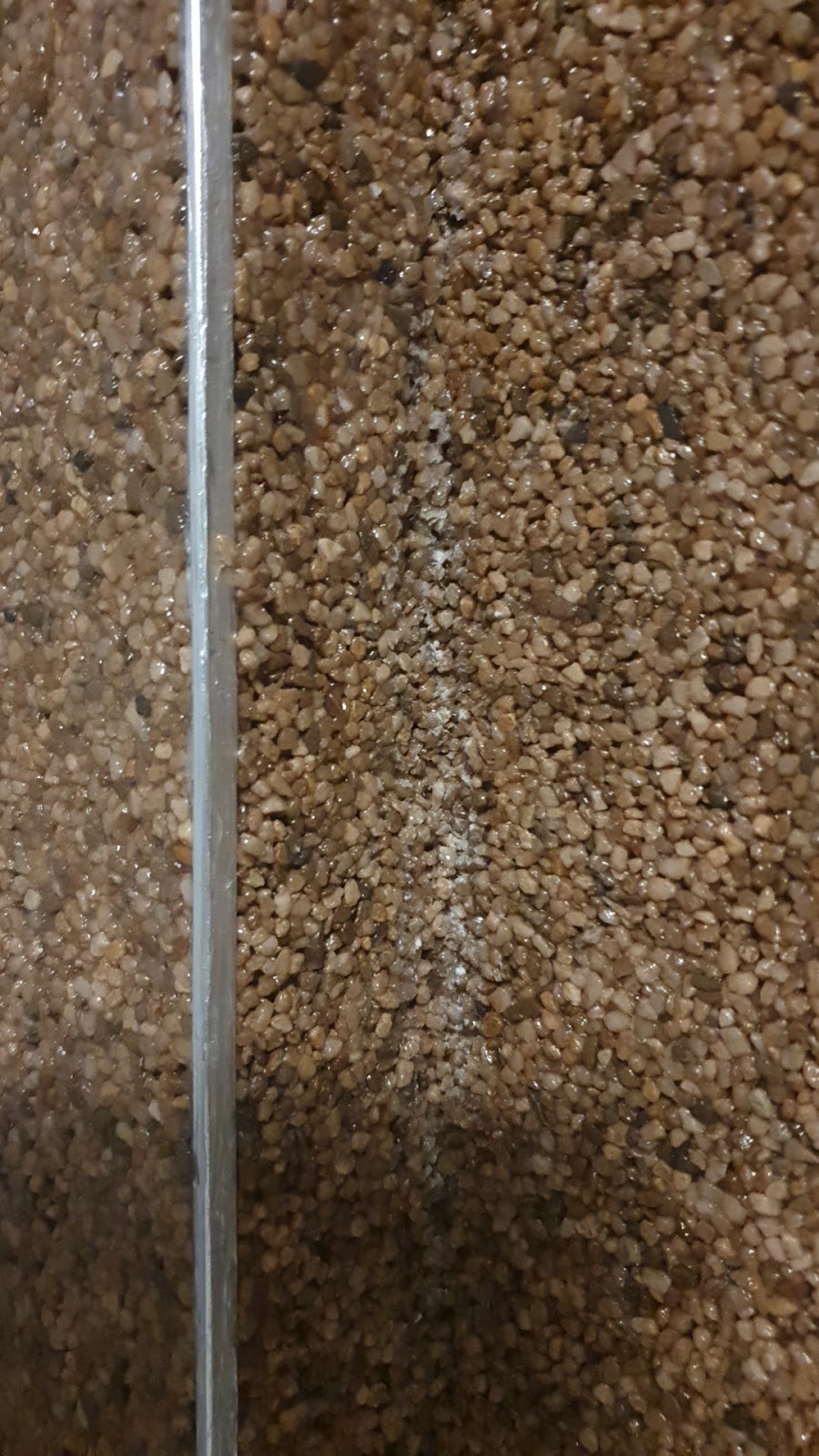 gp_699aa84056e18