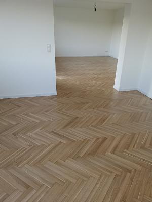 gp_699aaf3c67738