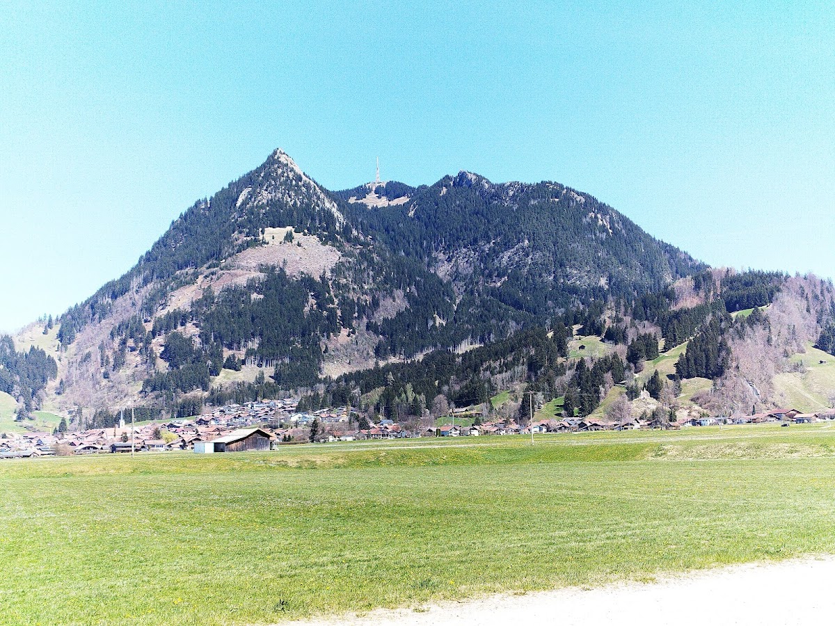 gp_699ab0958f689