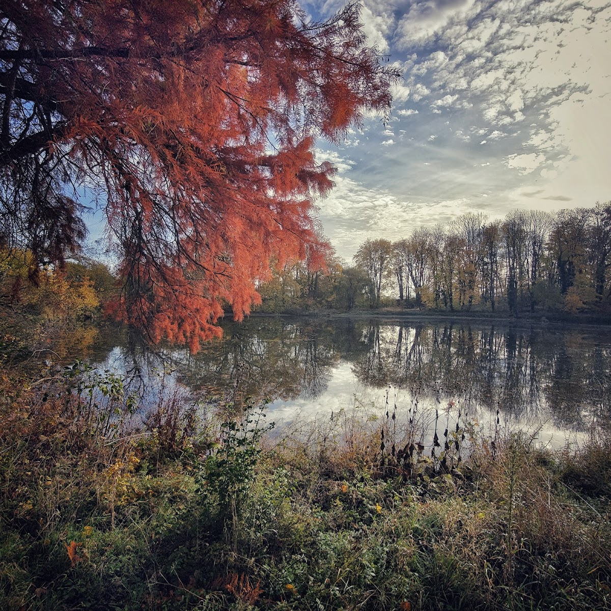 gp_699ab16ca8b57