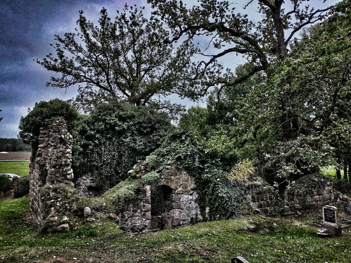 gp_699ab31d6ce9e