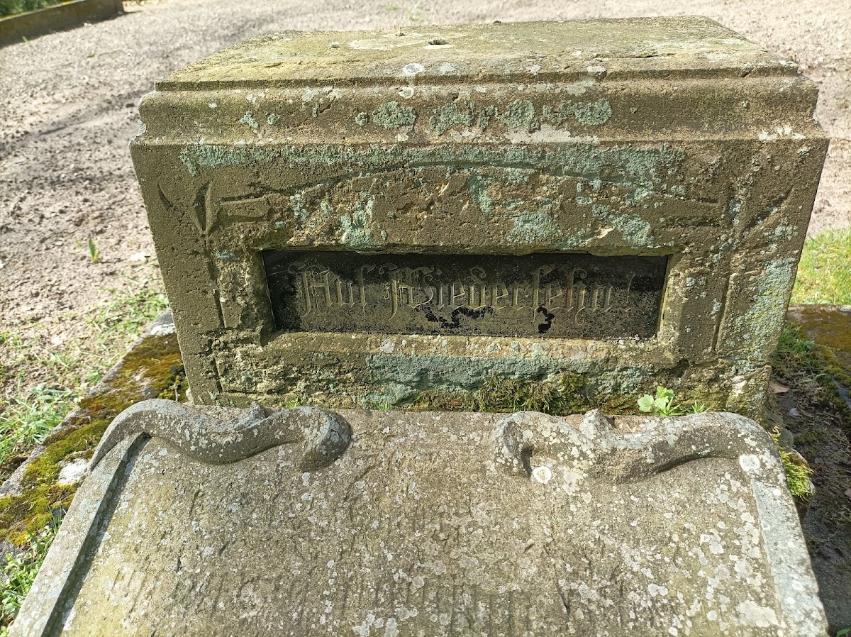 gp_699ab31e7400c