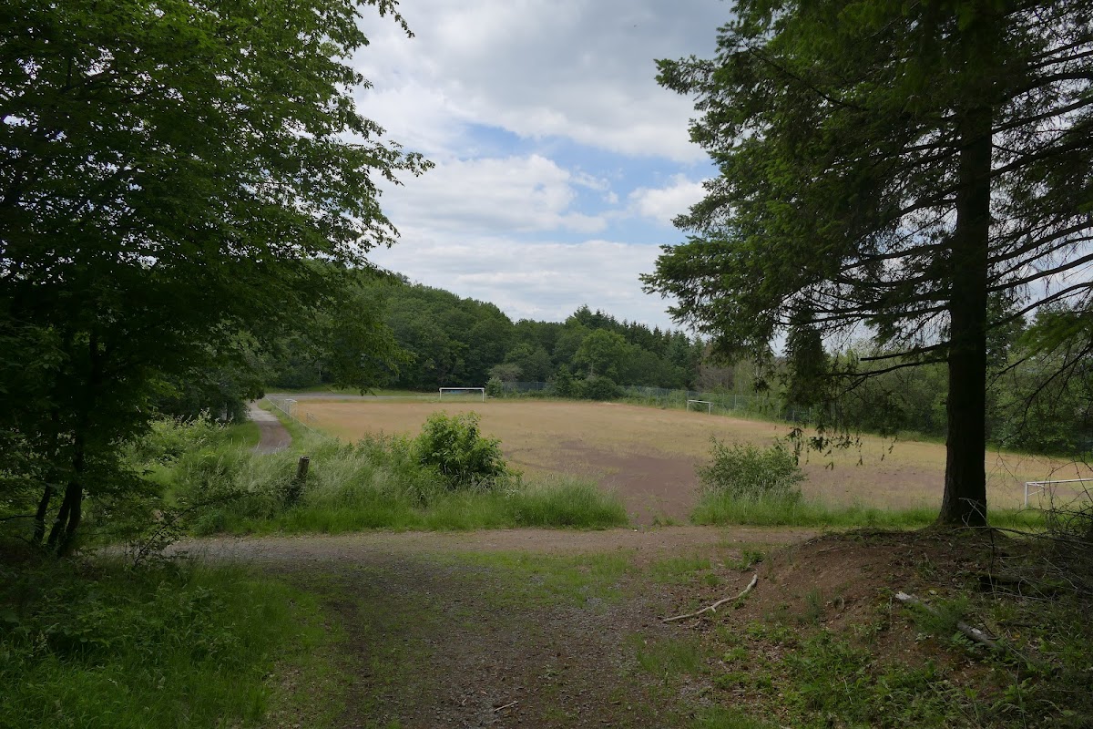 gp_699ab3aa72fa6