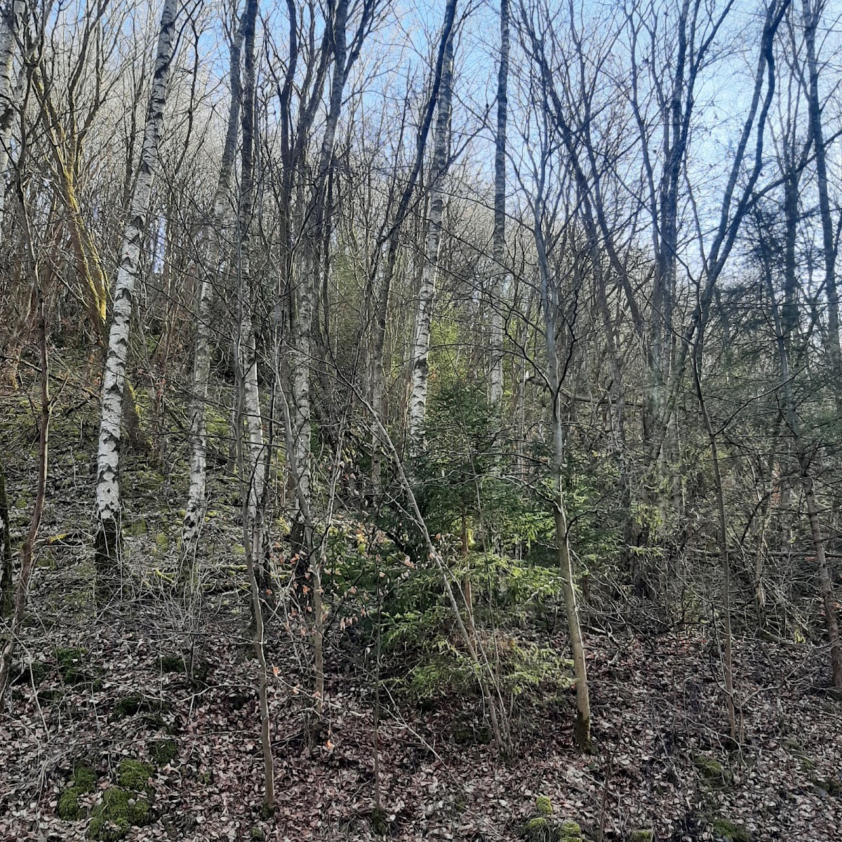 gp_699ab3ac13da4