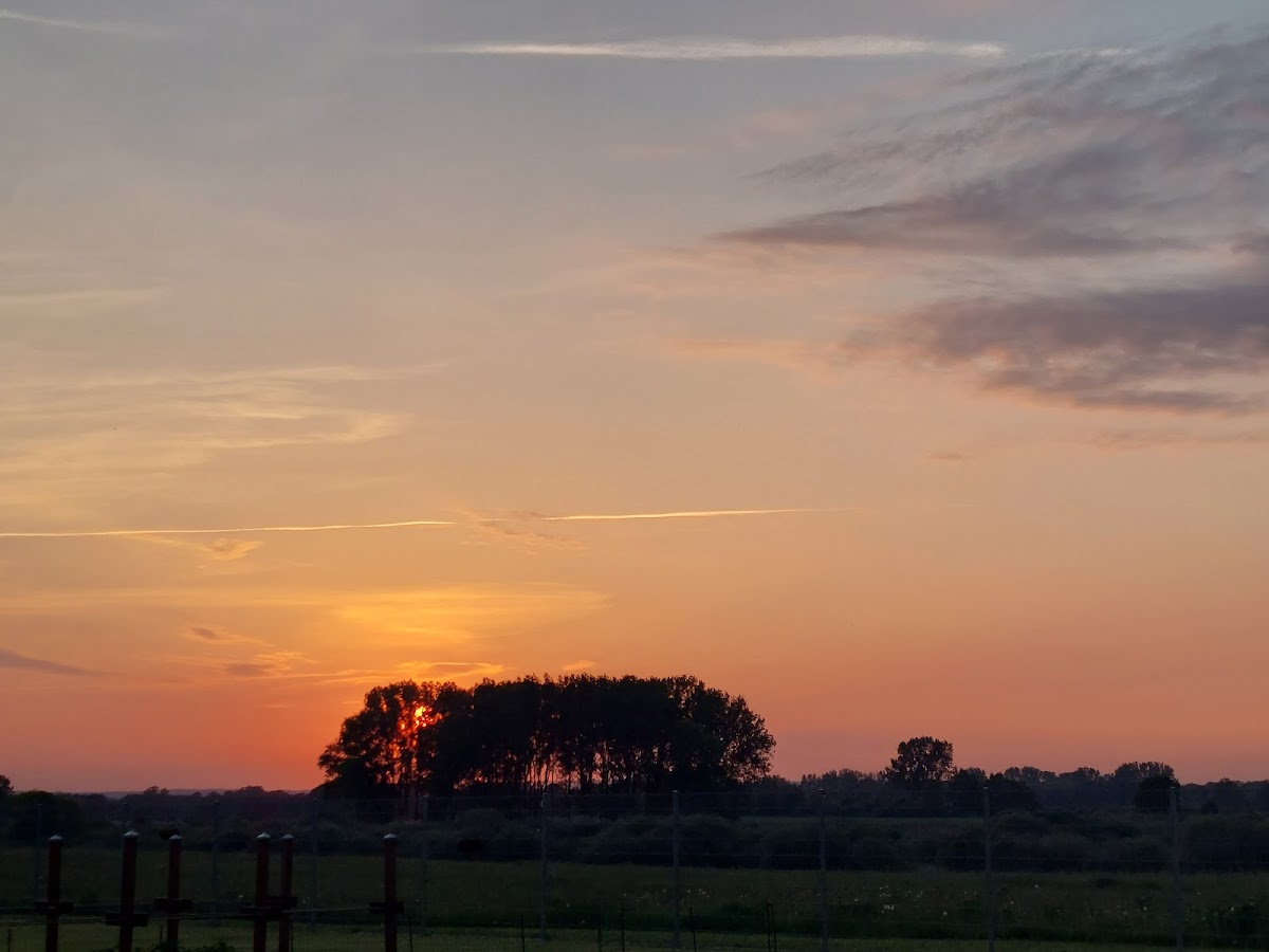 gp_699ab3e0cc773