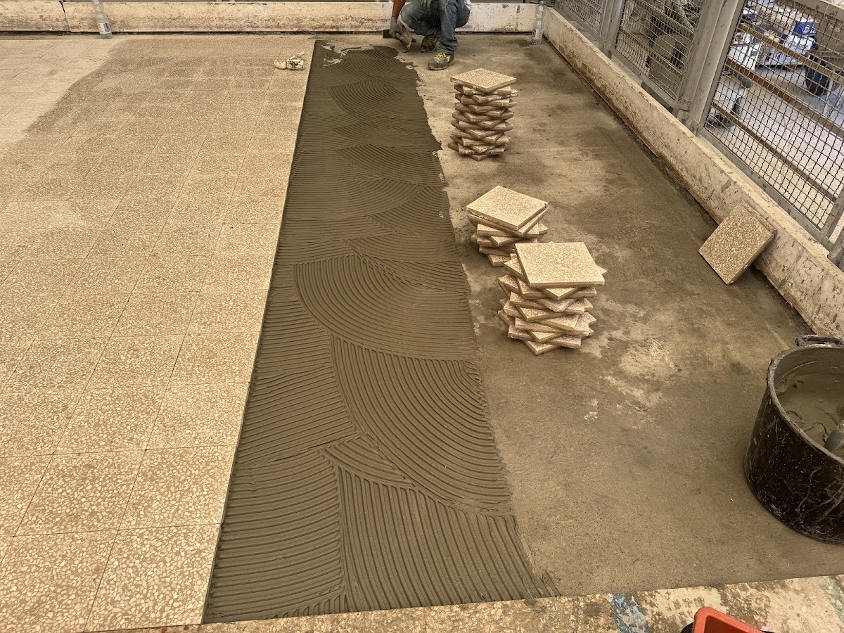 gp_699ab566485ef