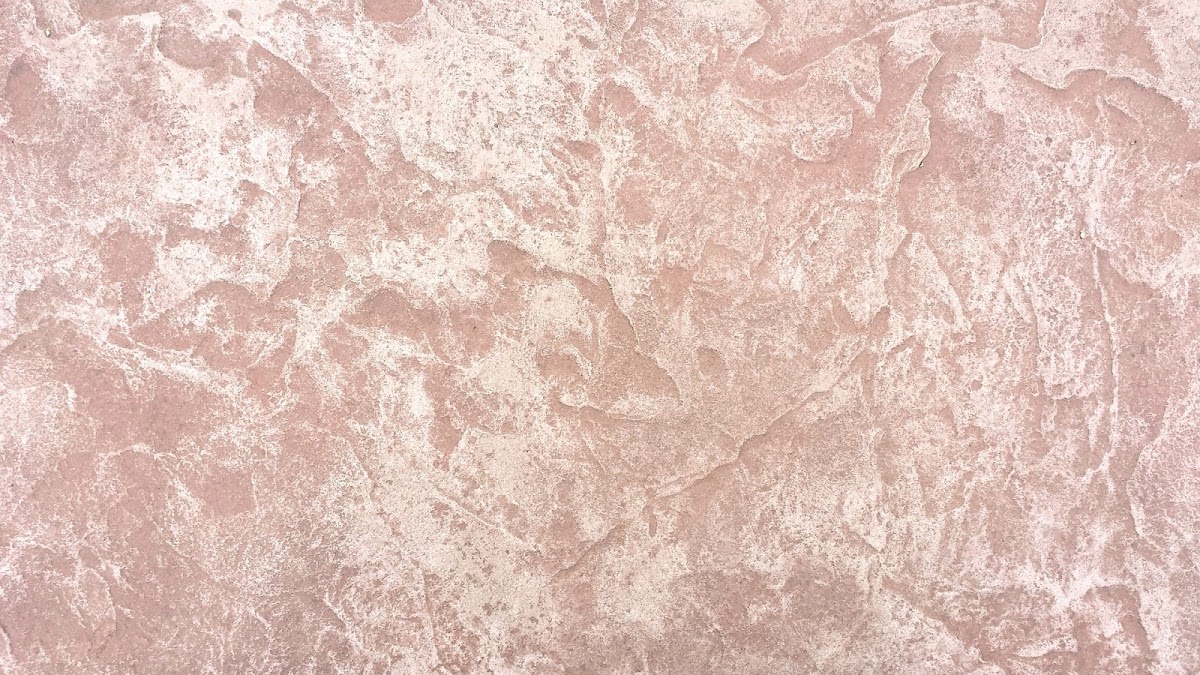 gp_699ab6416abf9