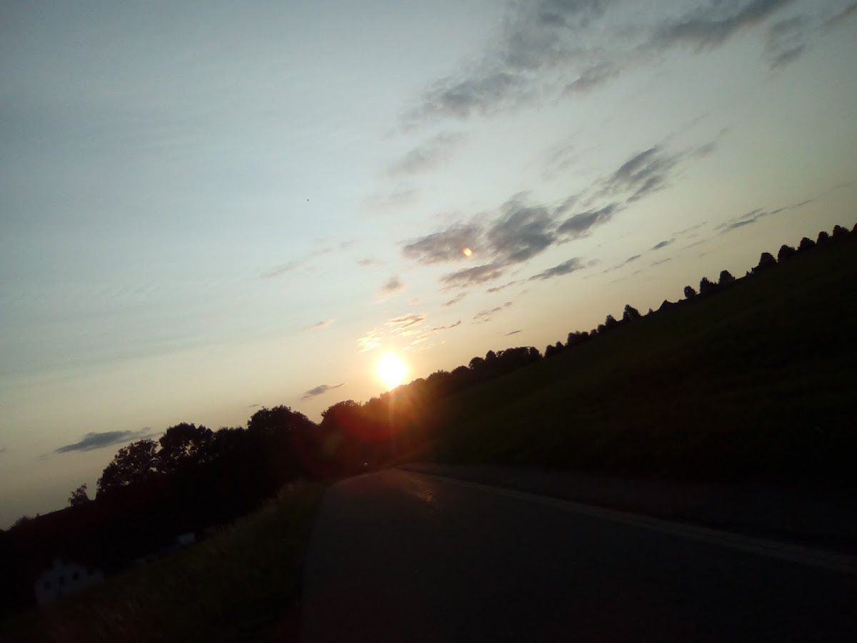 gp_699b1b30f219c
