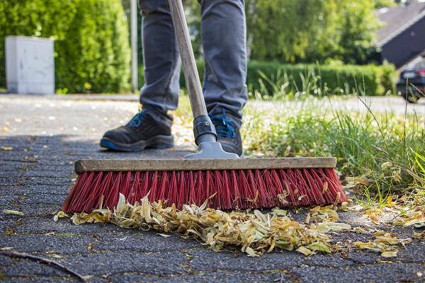 gp_699b1e65b02d9