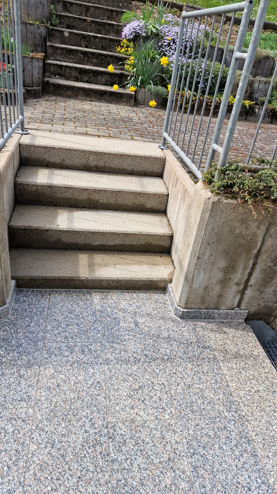 gp_699b1ee8b022c
