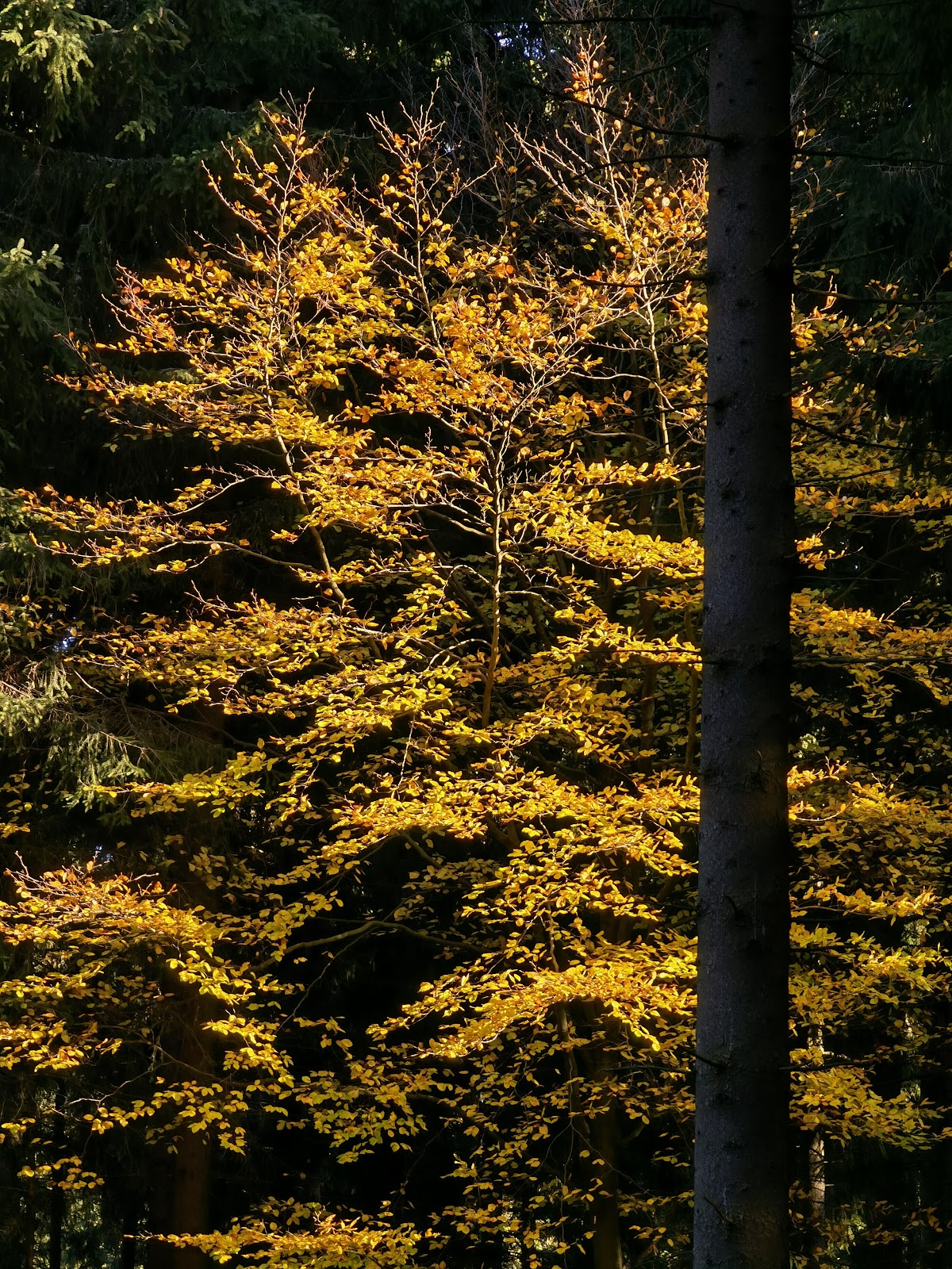 gp_699b21ea2870f