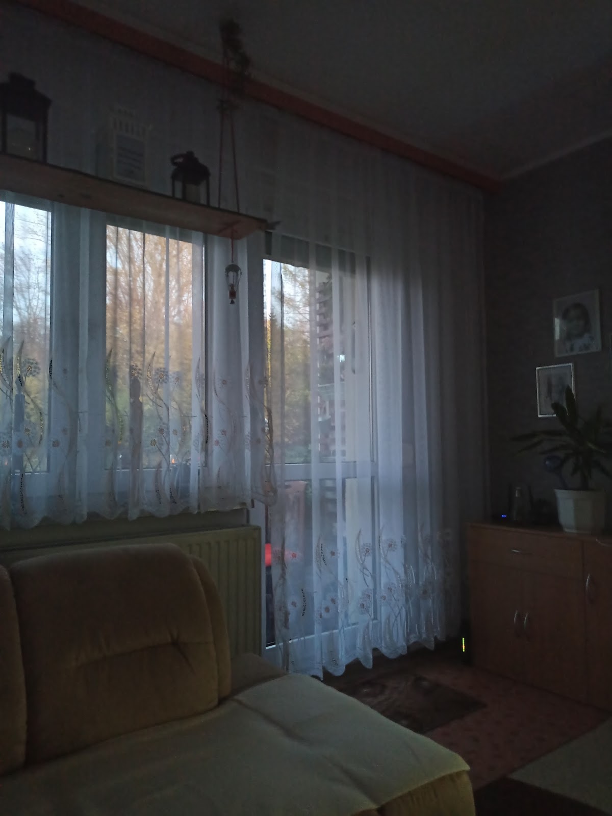 gp_699b2313cf1ed