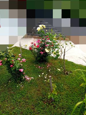 gp_699b28b300cfc