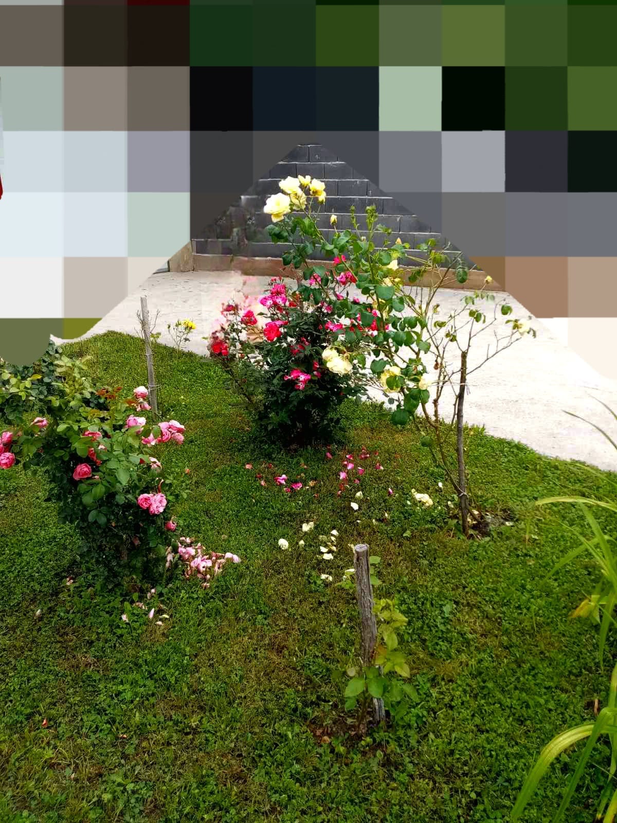 gp_699b28b300cfc