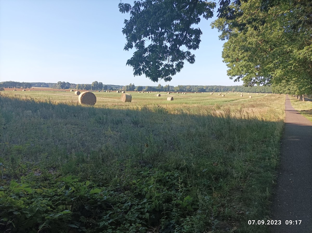 gp_699b2d7055940