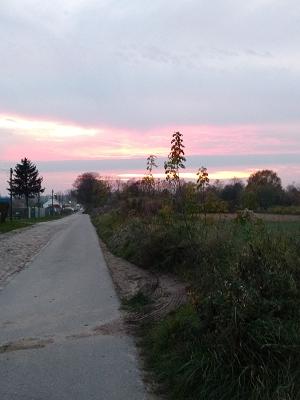 gp_699b2da61685f