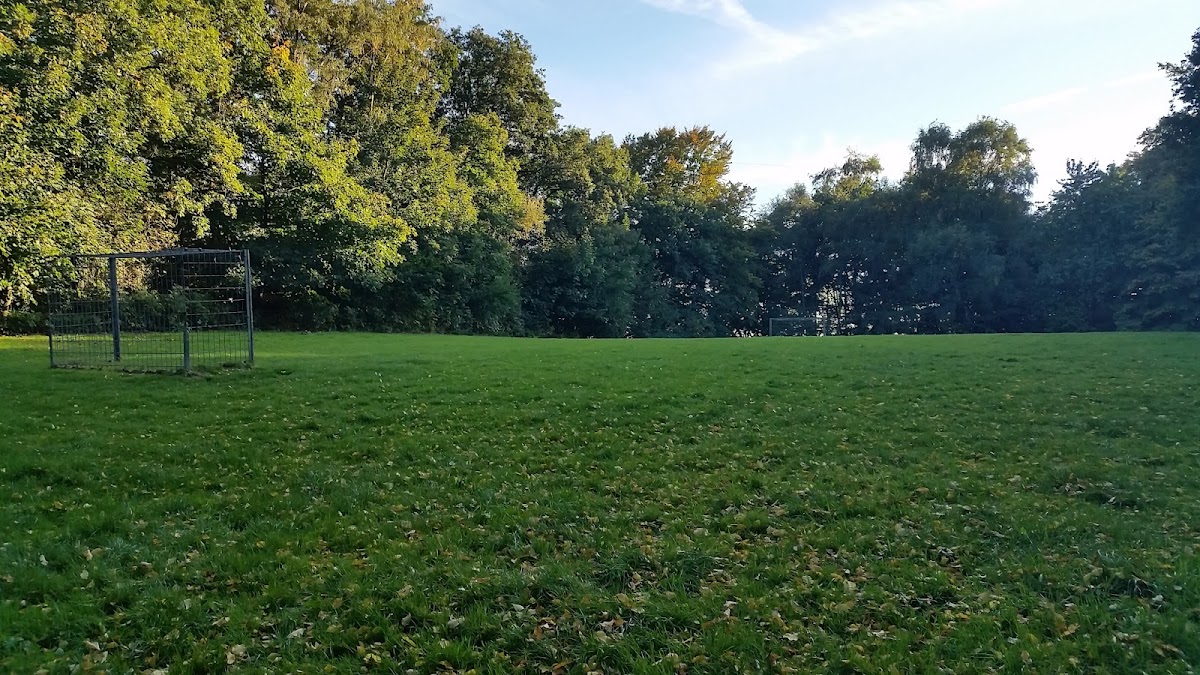 gp_699b2fa95c1ff