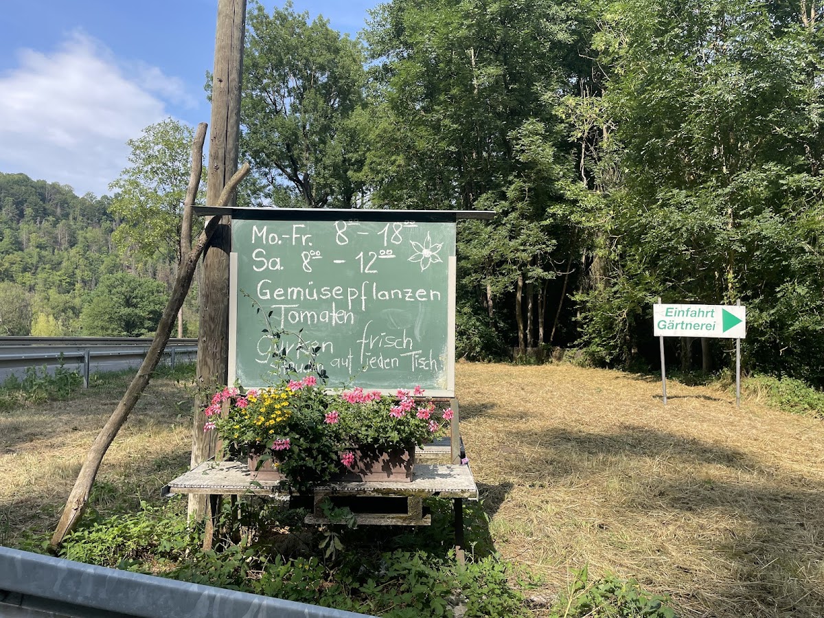 gp_699b343186934