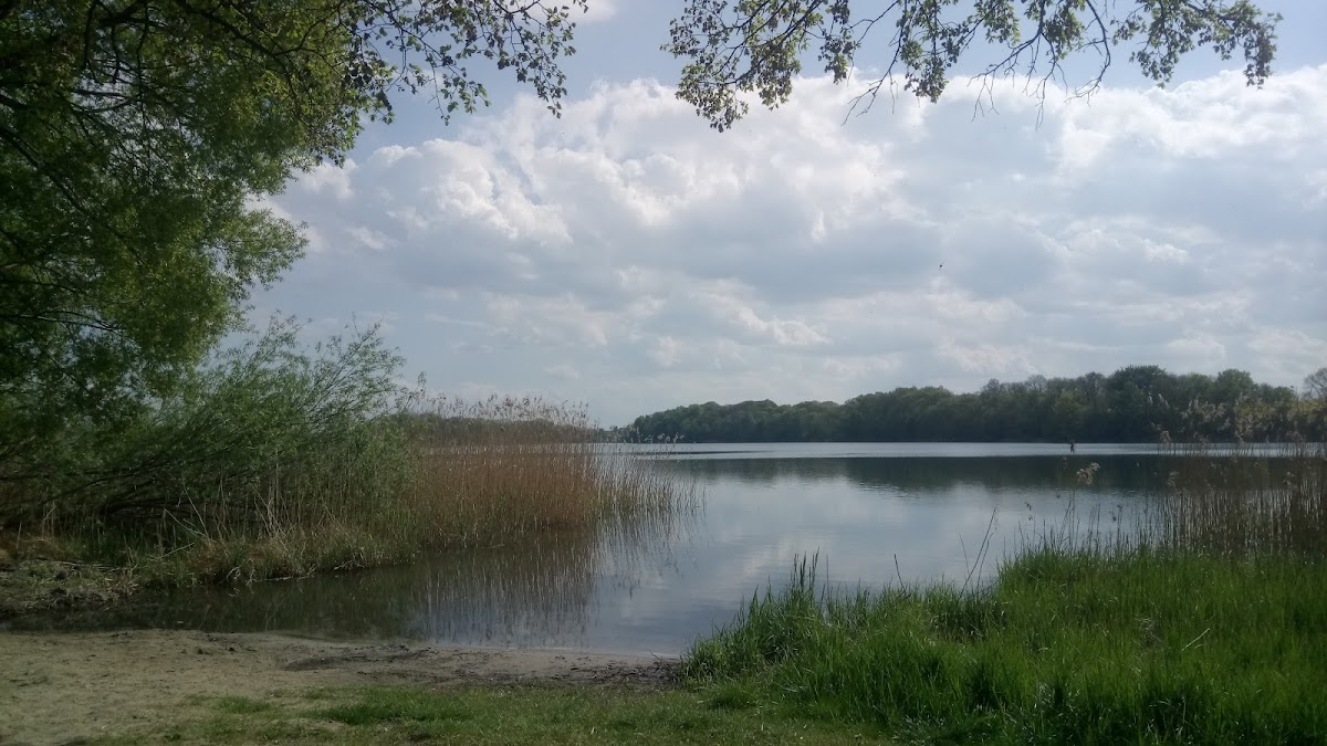 gp_699b3e1992f9b