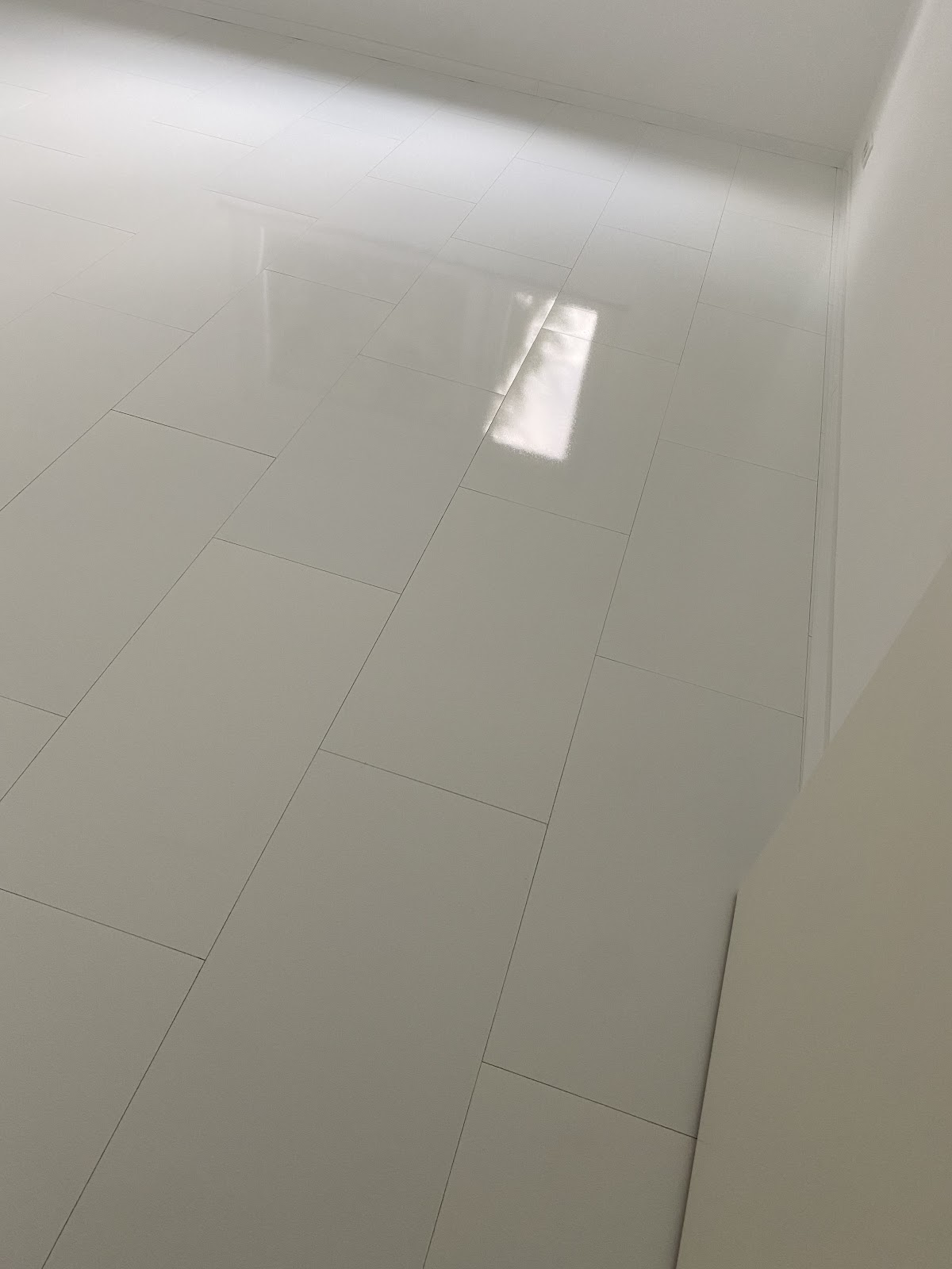 gp_699aa5001eef3