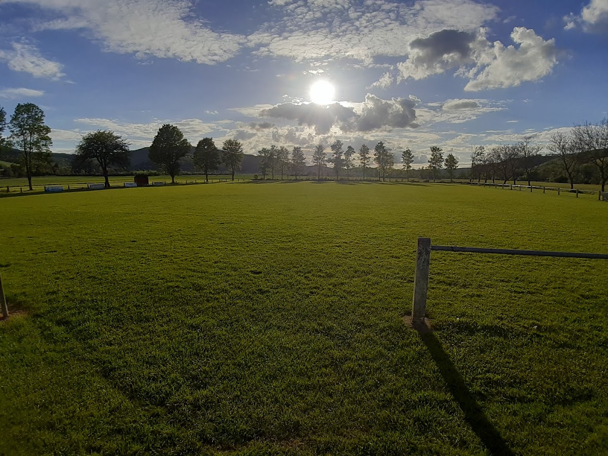 gp_699b487c13518