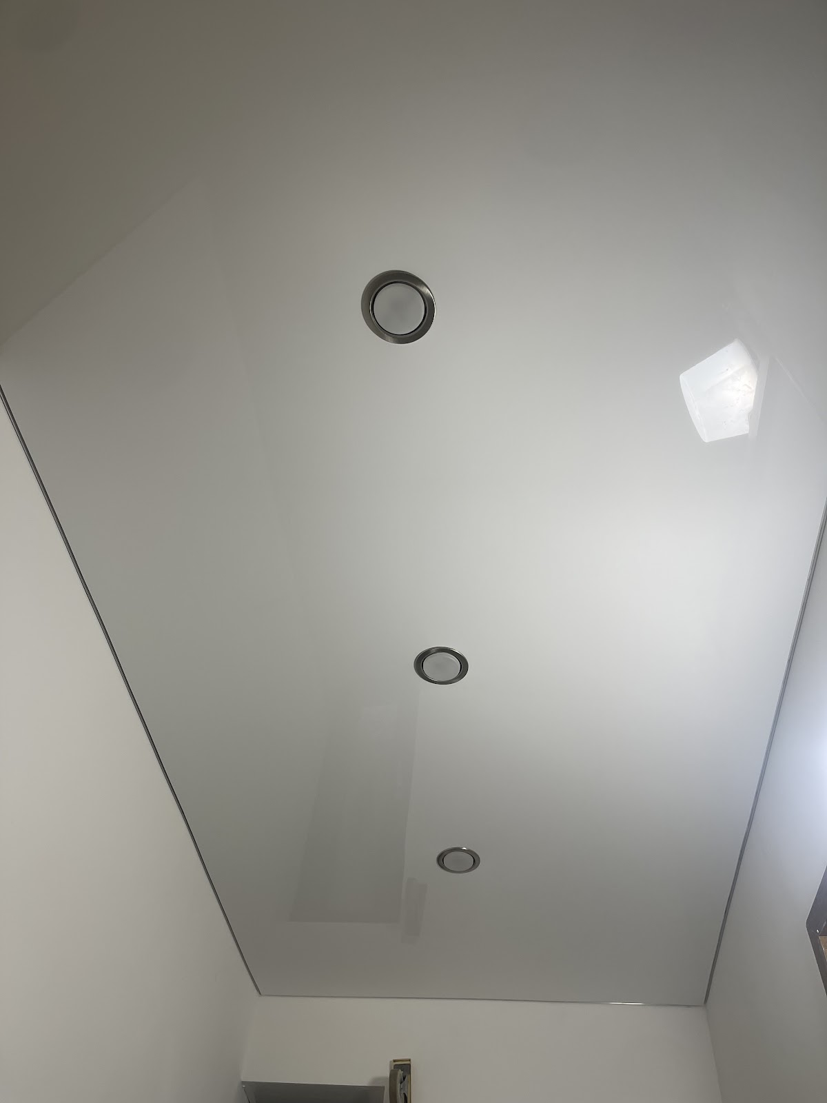 gp_699b491620567