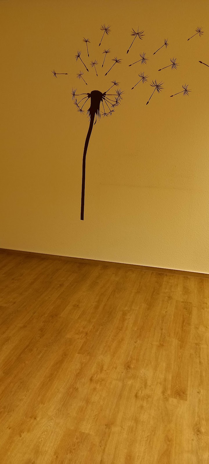 gp_699b4967ec0d9