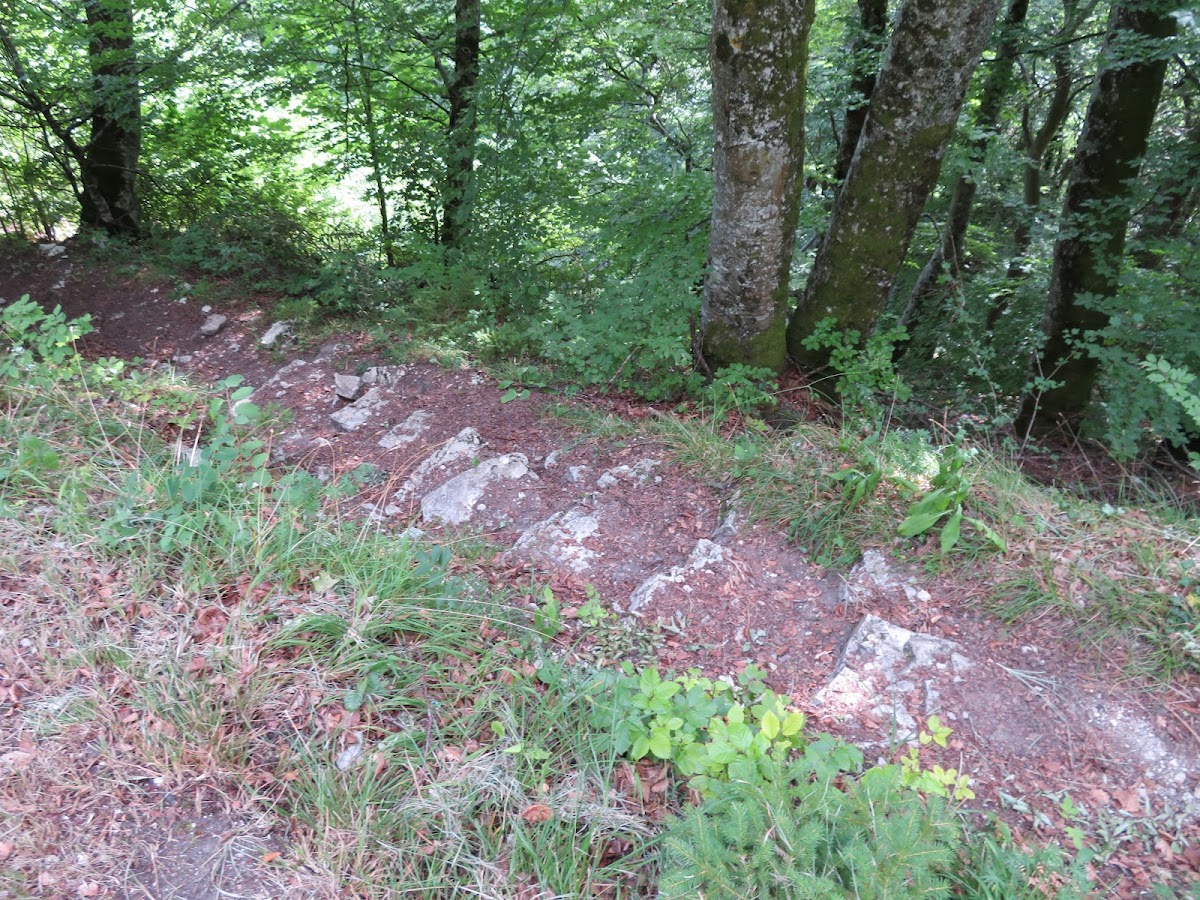 gp_699b505166178