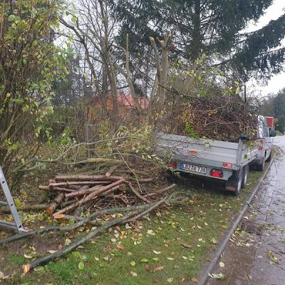 gp_699b56e72dba8