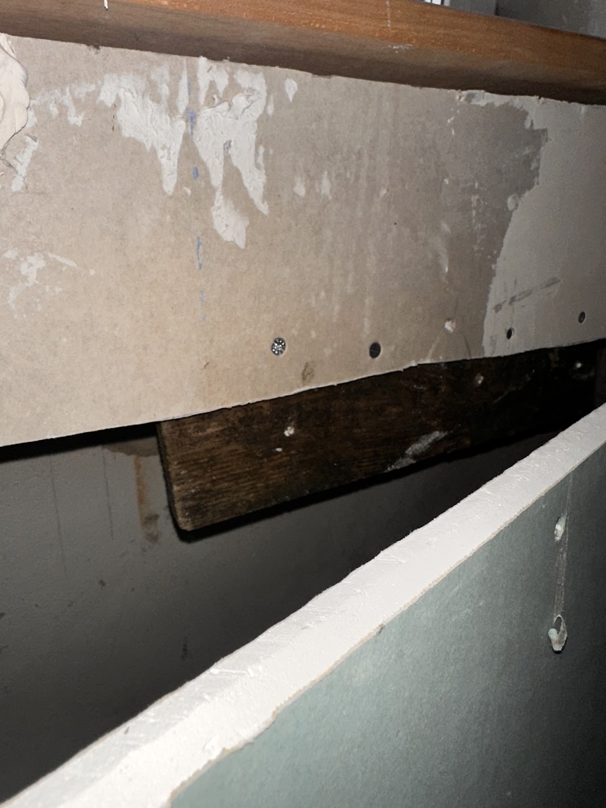 gp_699aa62ea8f51