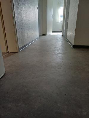 gp_699aa65846b2c