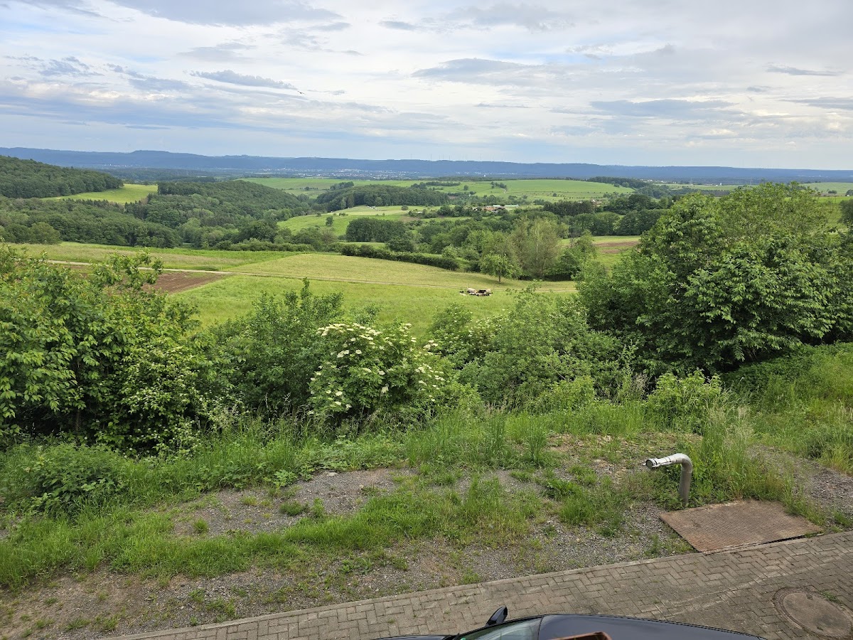 gp_699b6517234cb